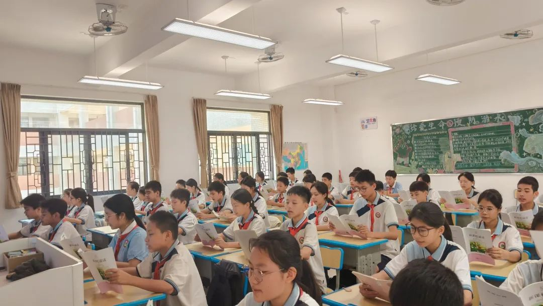 图片15