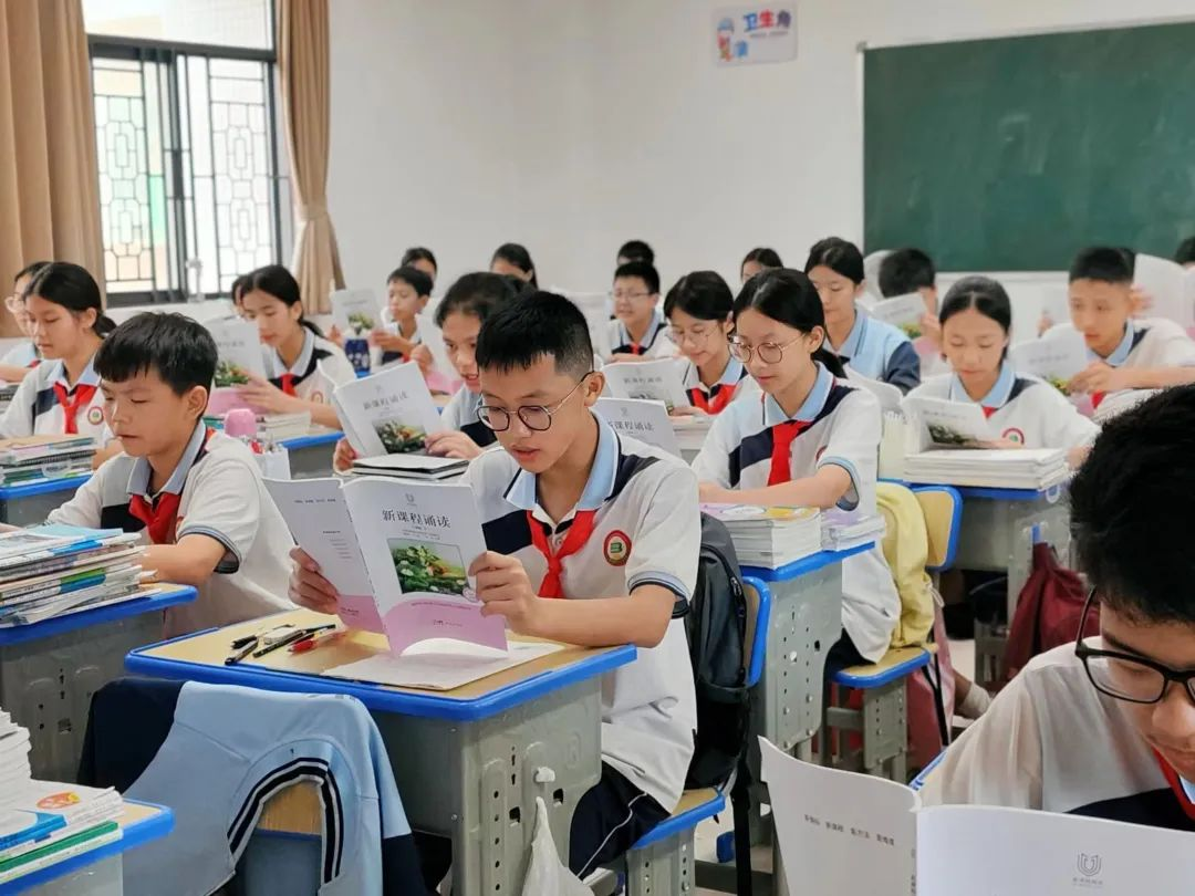 图片8