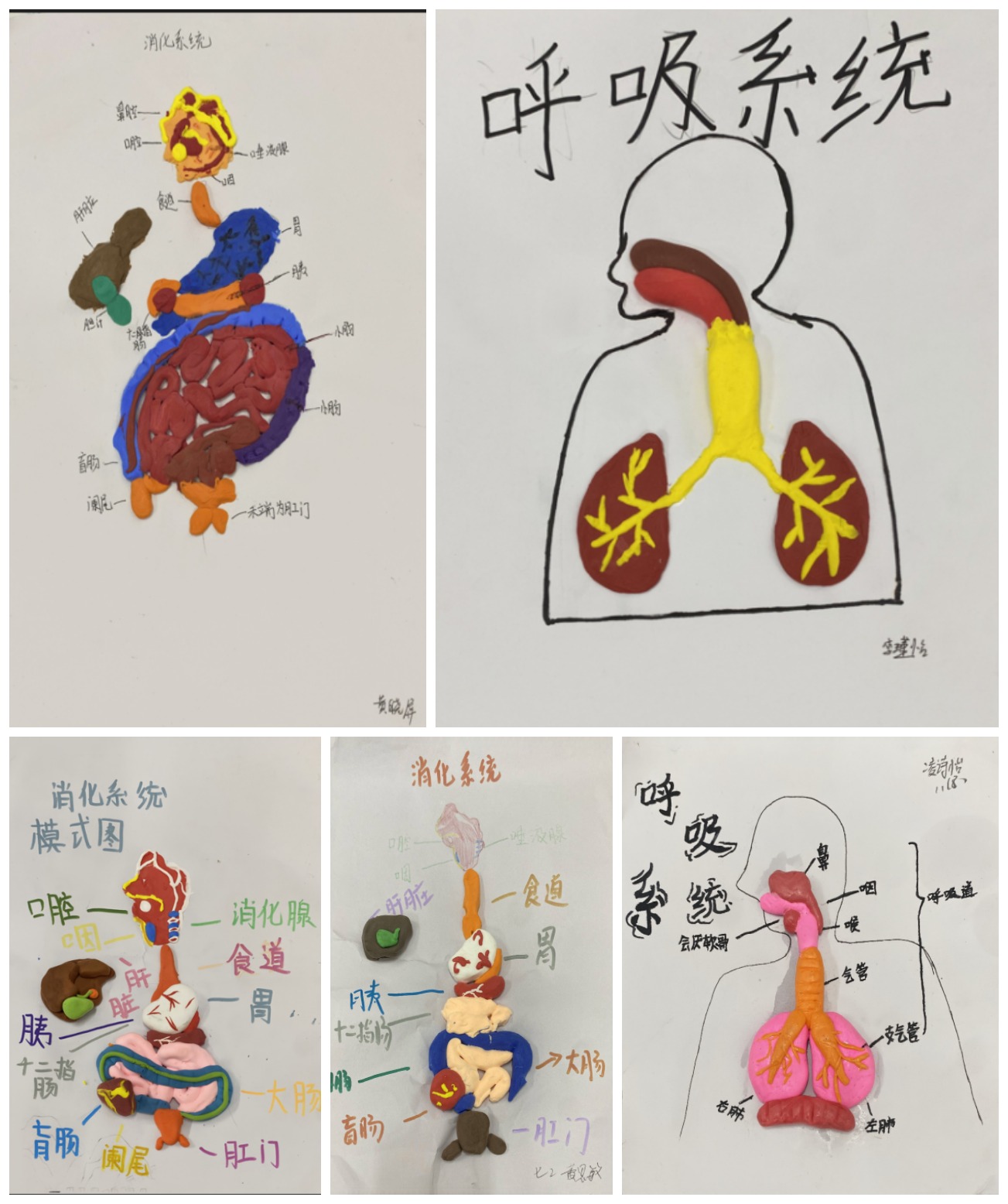 生物1