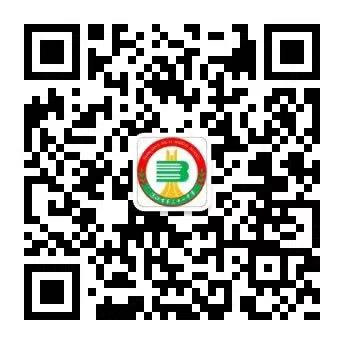 公众号